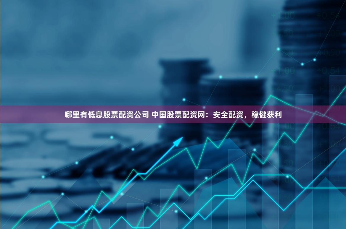 哪里有低息股票配资公司 中国股票配资网：安全配资，稳健获利