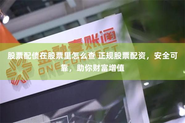 股票配债在股票里怎么查 正规股票配资，安全可靠，助你财富增值