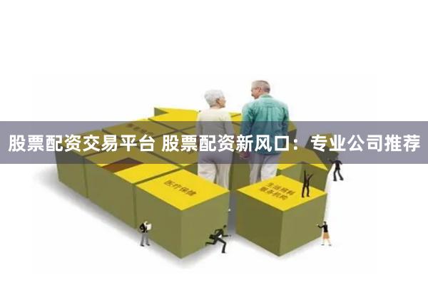 股票配资交易平台 股票配资新风口：专业公司推荐